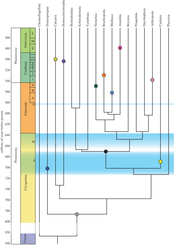 Figure 1.