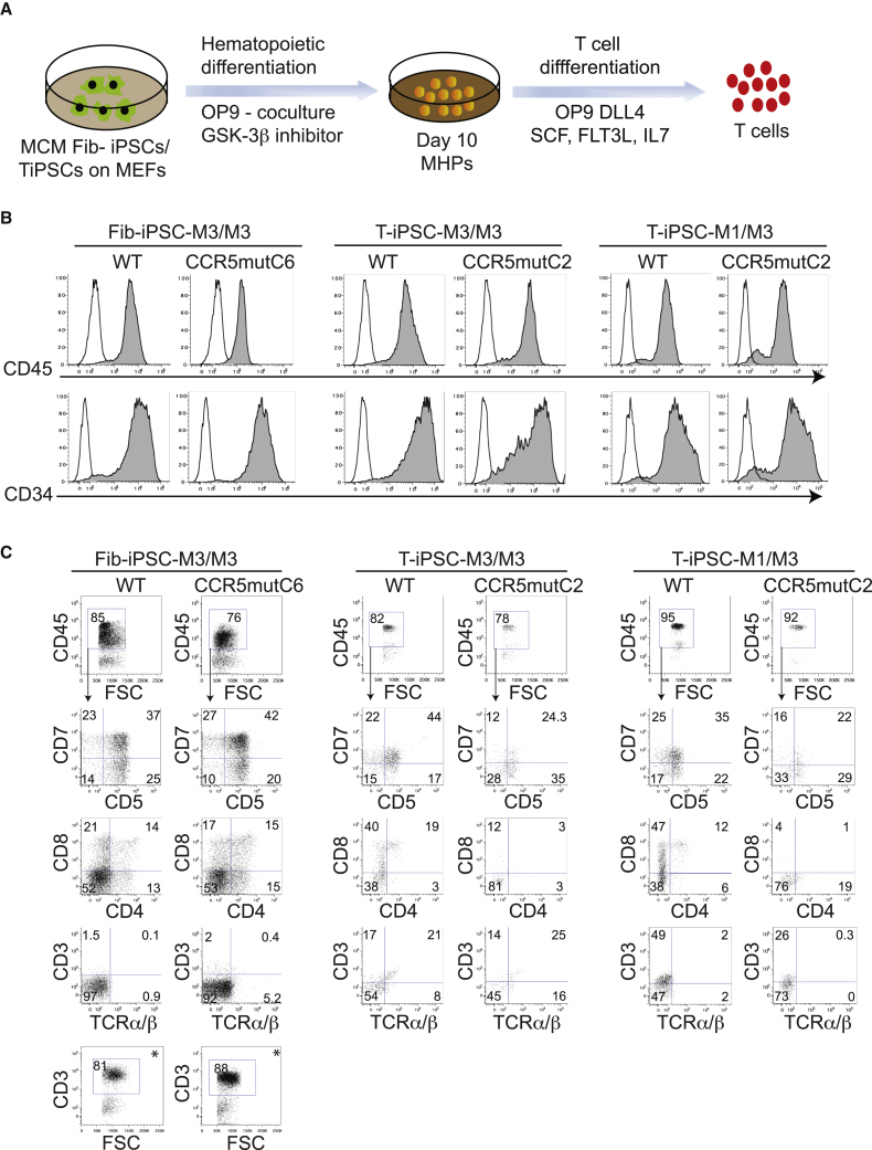 Figure 2