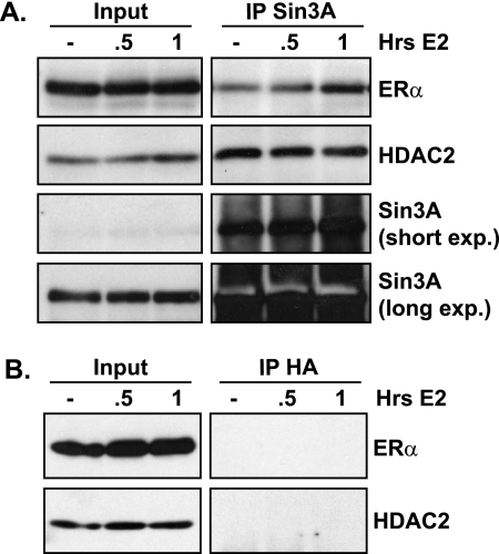 FIG. 5.