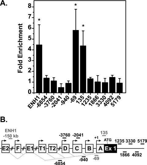 FIG. 2.