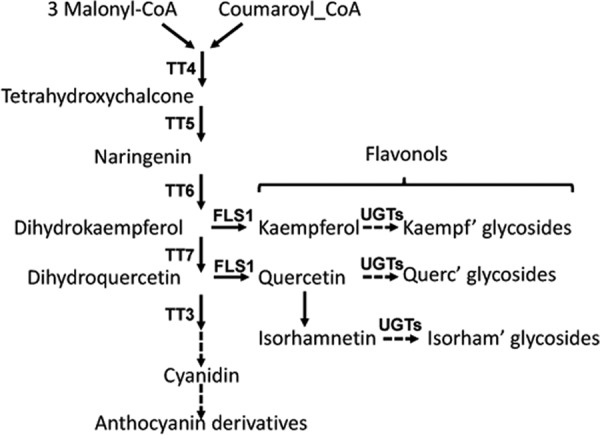 FIGURE 1.