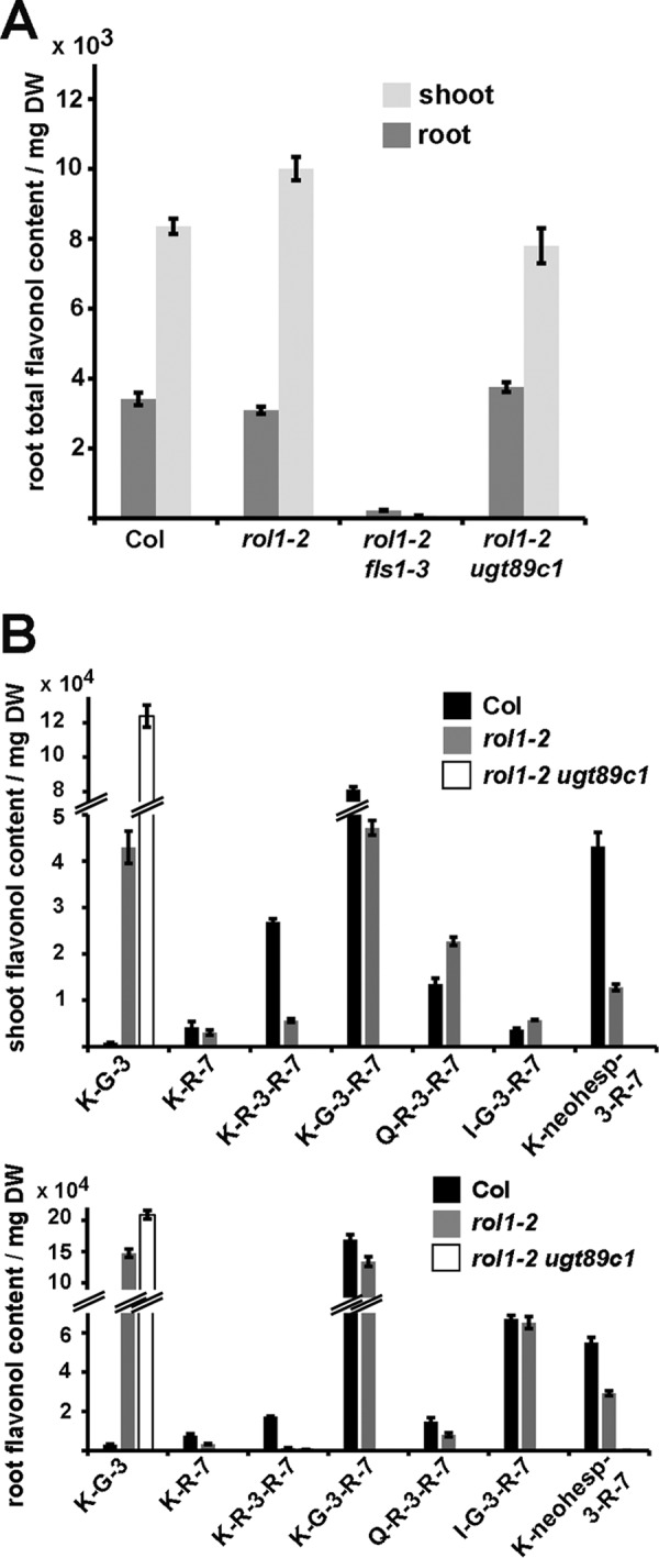 FIGURE 3.