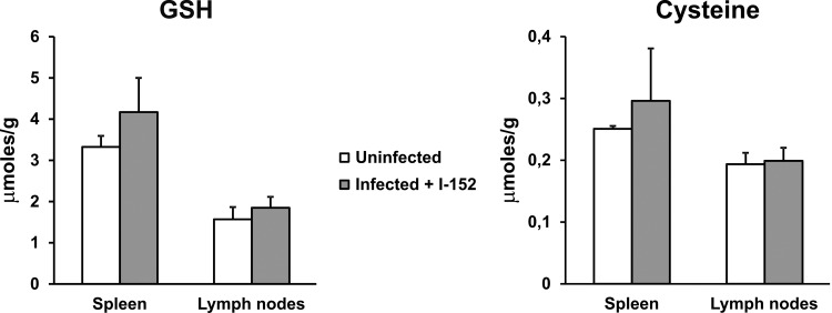 FIG 7