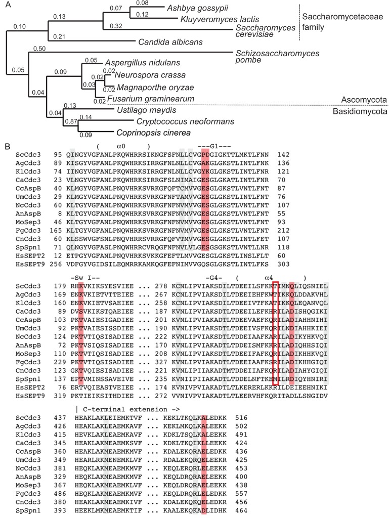 Figure 4—figure supplement 1.