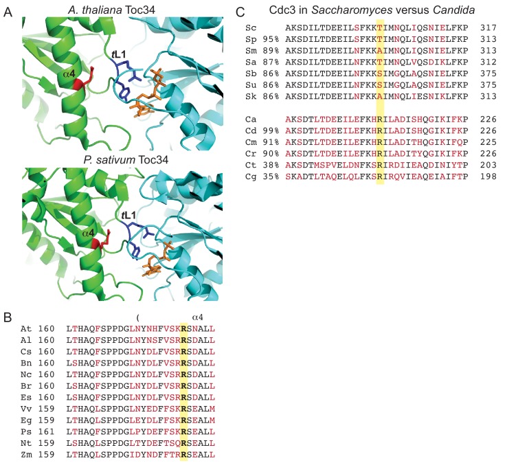 Figure 9.