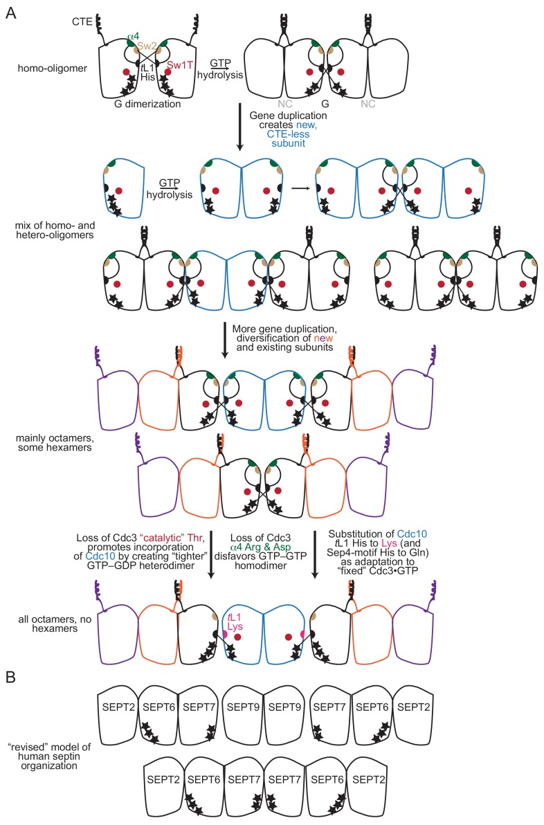 Figure 9—figure supplement 1.