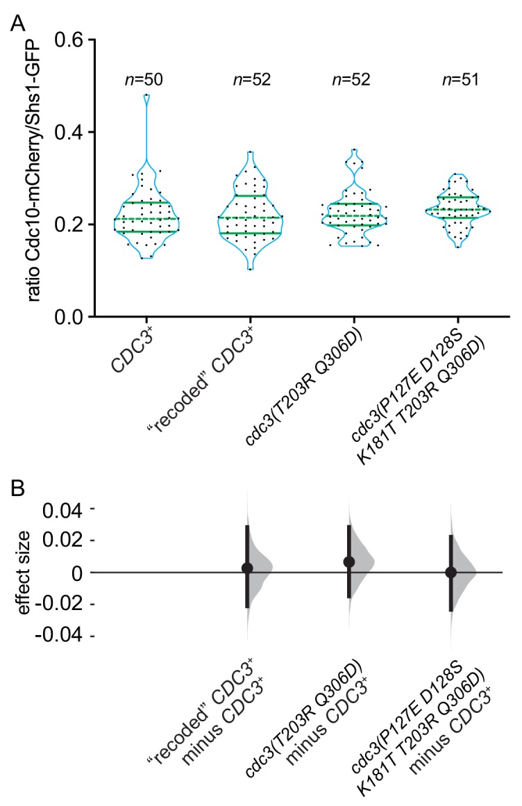 Figure 8—figure supplement 2.