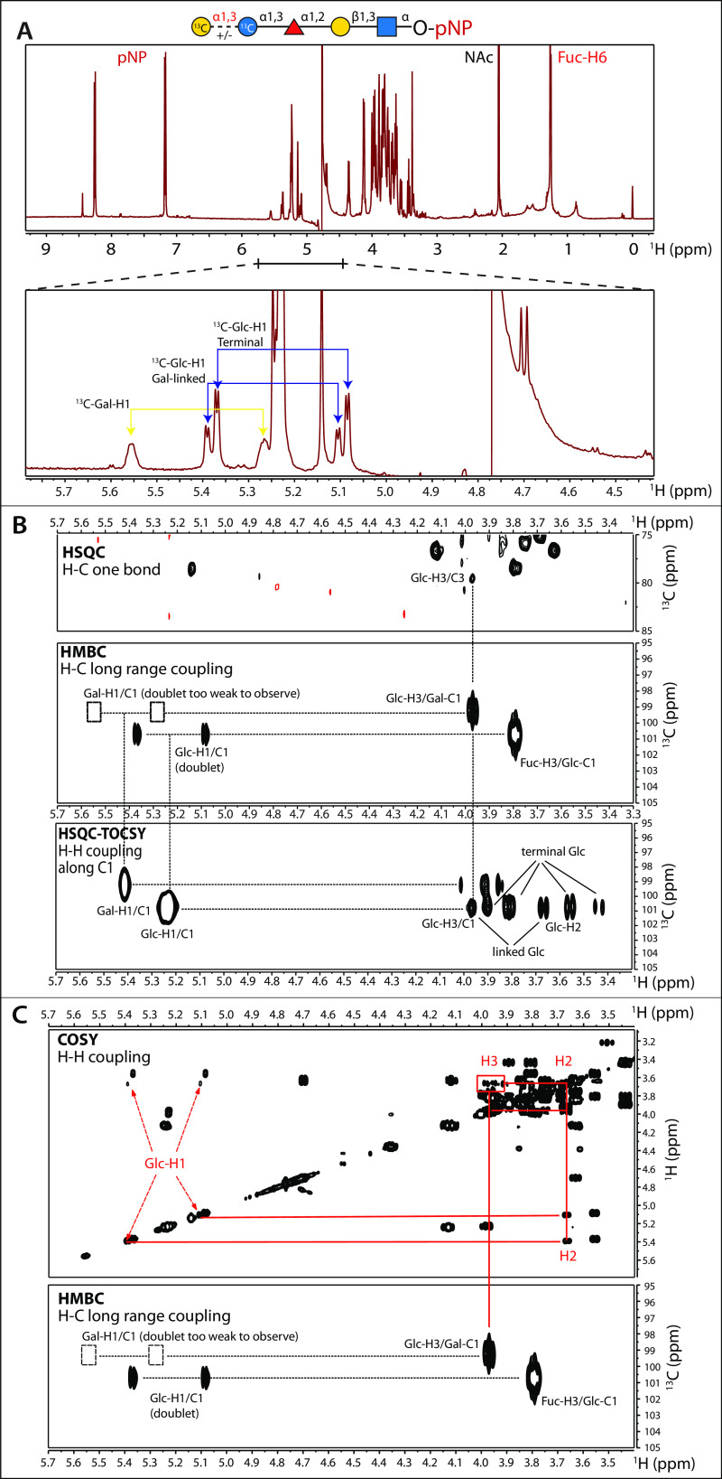 Fig. 6.