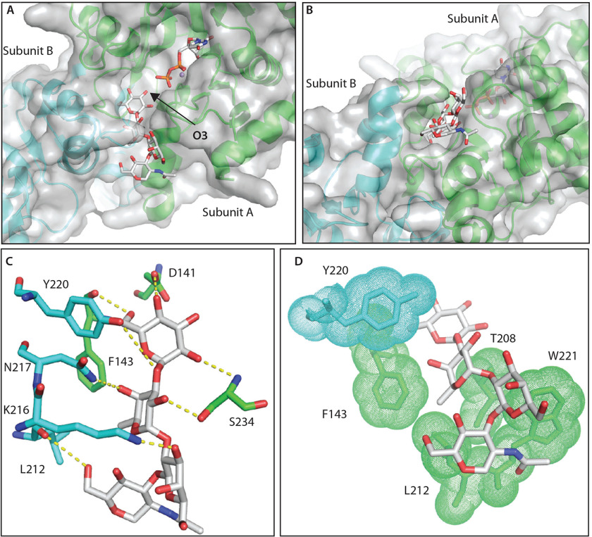 Figure 9.