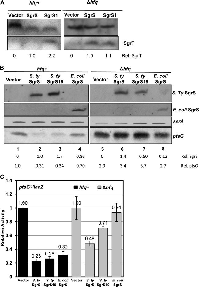 Fig 6