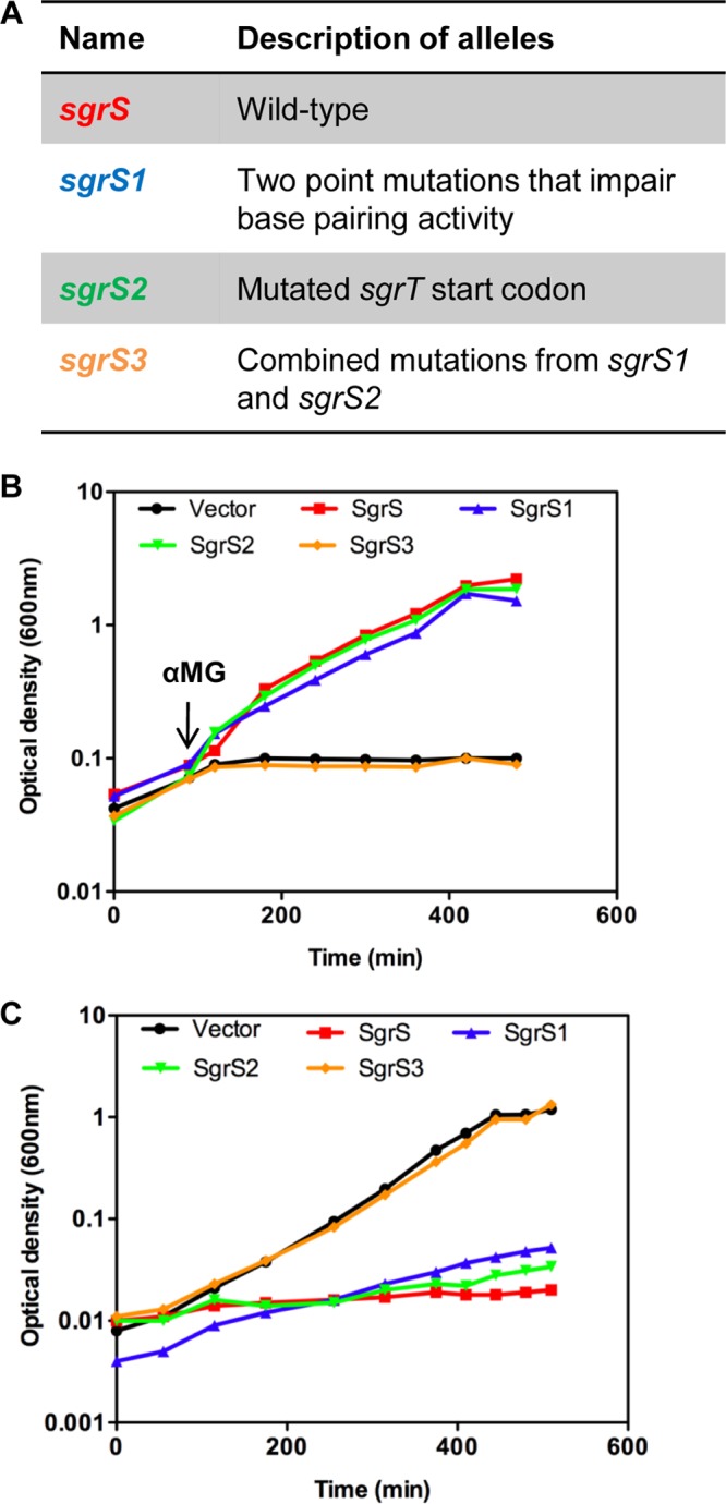 Fig 2