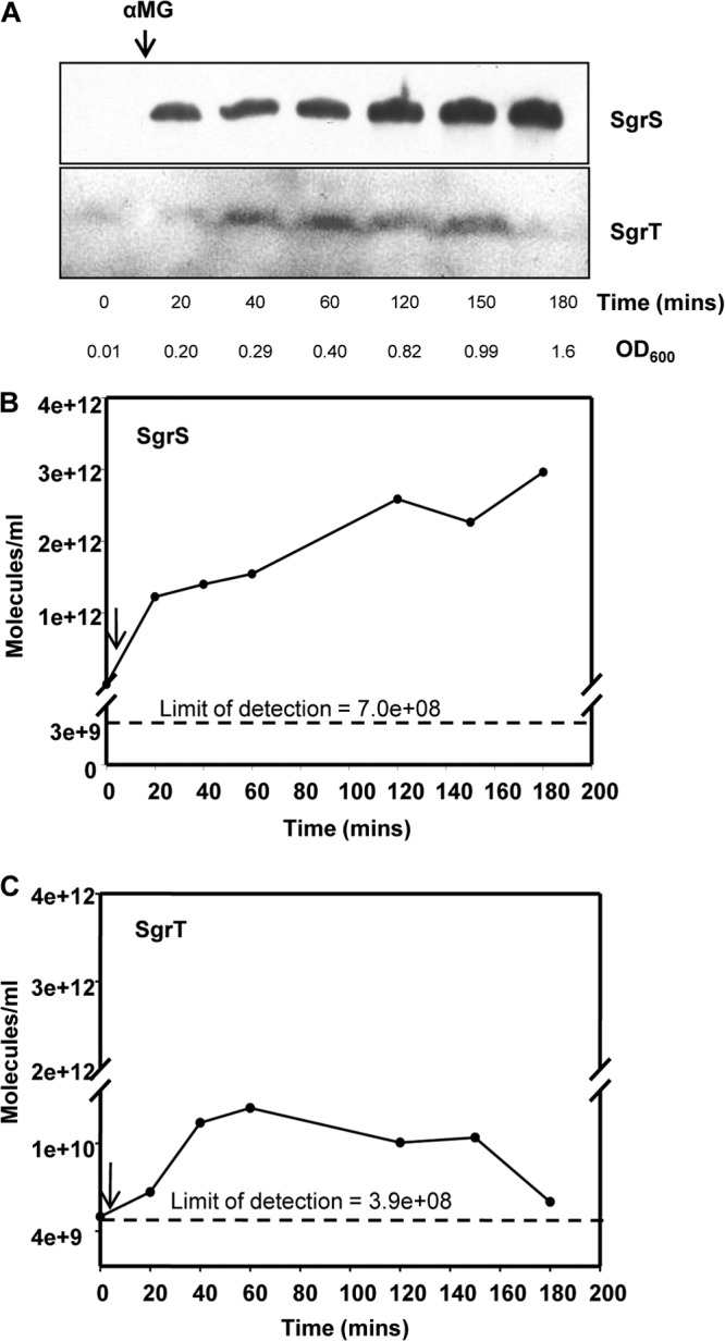 Fig 8