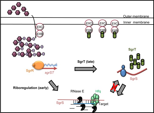 Fig 9