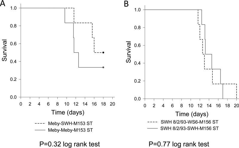 FIG 4