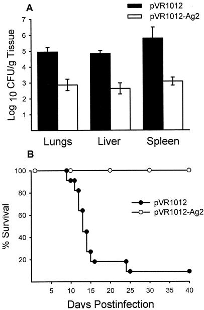 FIG. 11.