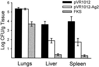 FIG. 12.