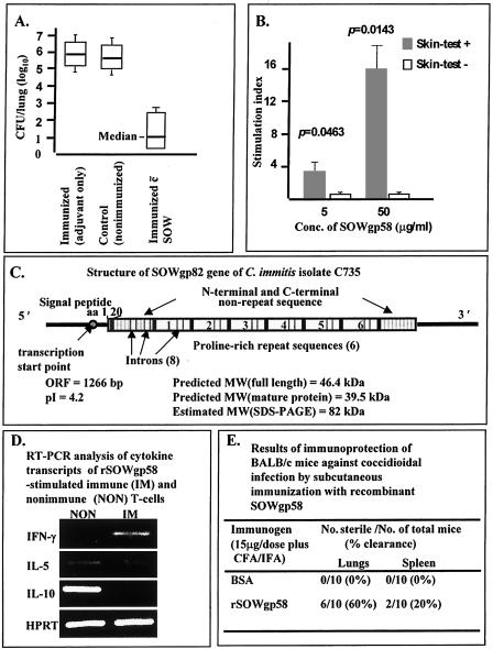 FIG. 13.