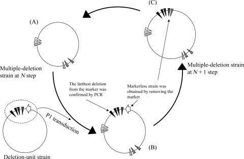 Figure 1