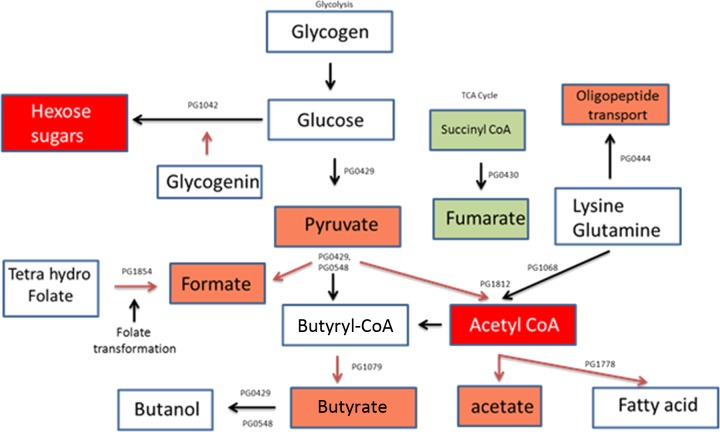 FIG 10