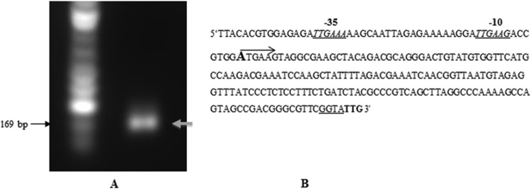 FIG 5