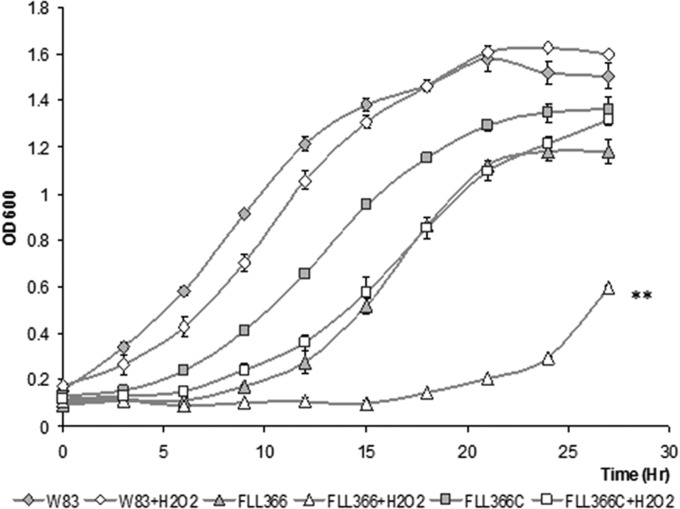 FIG 2