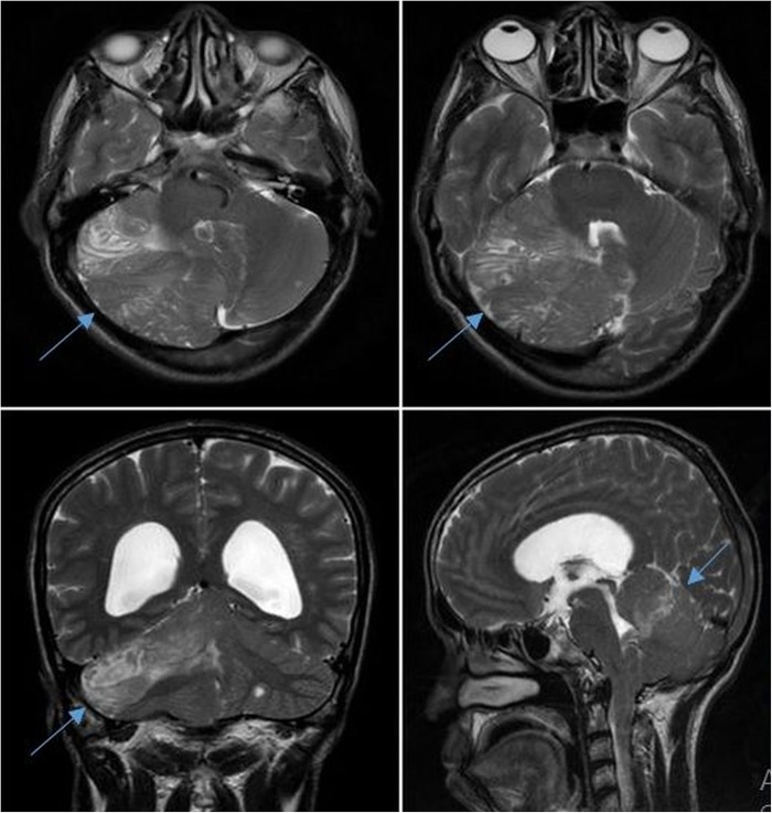 Figure 2