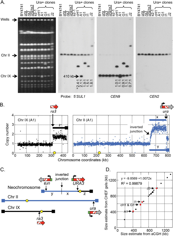 Fig 3