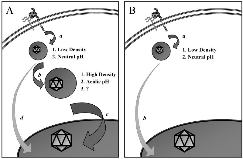 FIG. 6