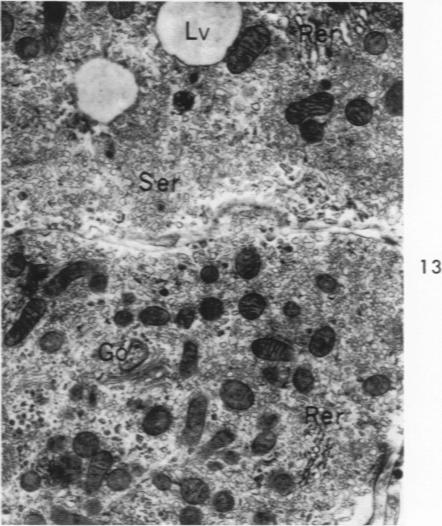 Fig. 13