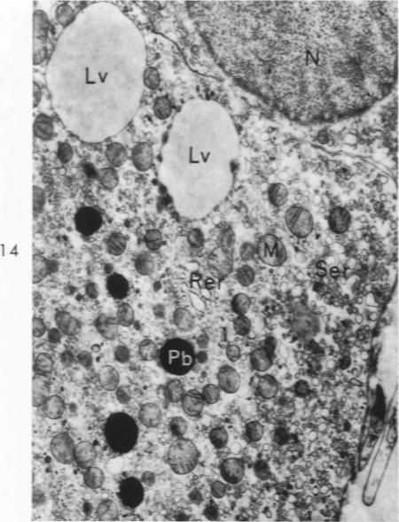 Fig. 14