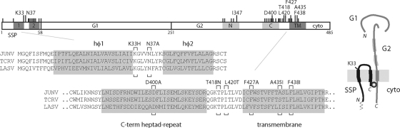 FIG. 1.