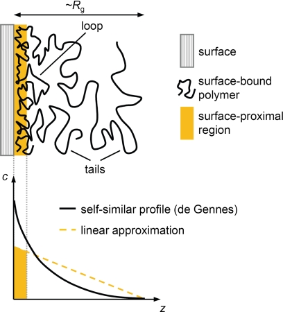 FIGURE 8.