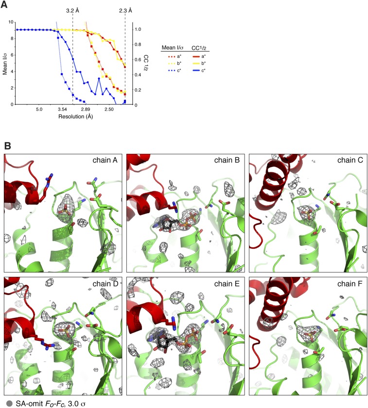 Figure 2—figure supplement 1.