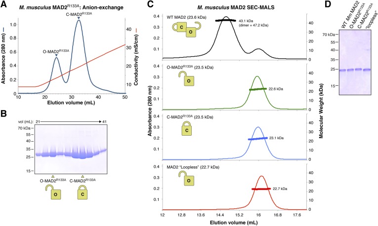 Figure 5—figure supplement 2.