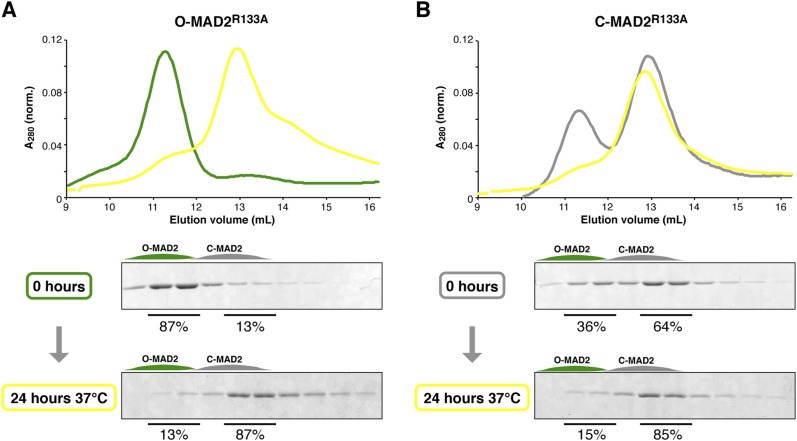 Figure 7—figure supplement 1.