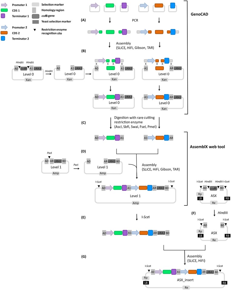 Fig 2