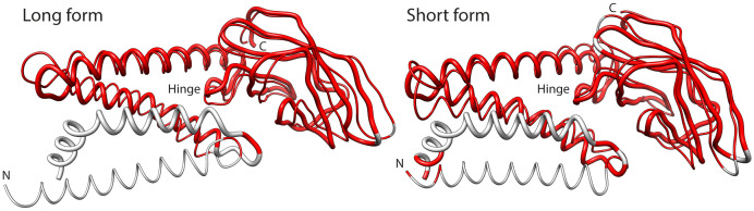 Figure 10. 