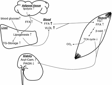 Fig. 5