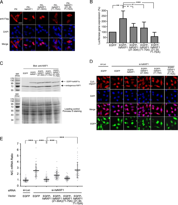 FIGURE 3: