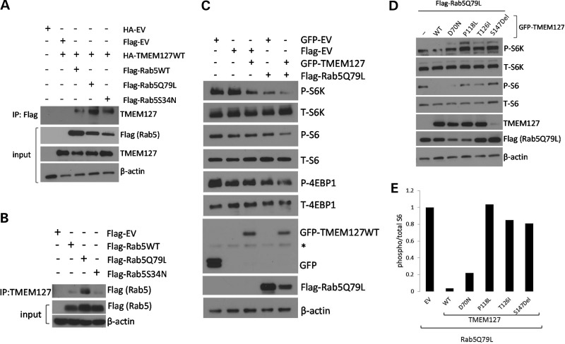 Figure 3.