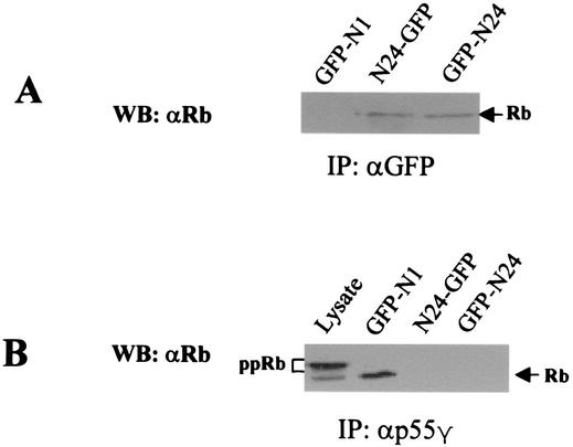 FIG. 5.