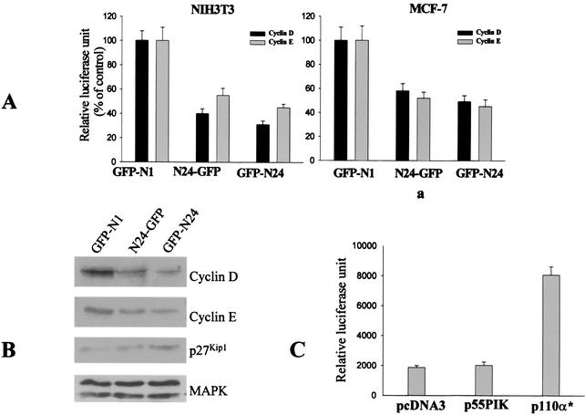 FIG. 7.