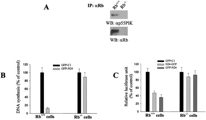 FIG. 8.