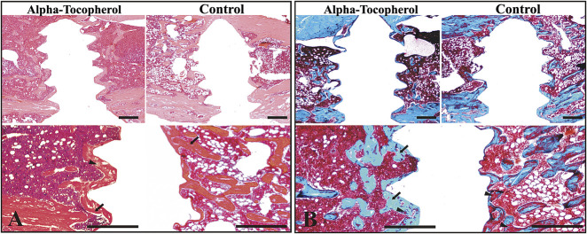 Fig. 6 A-D