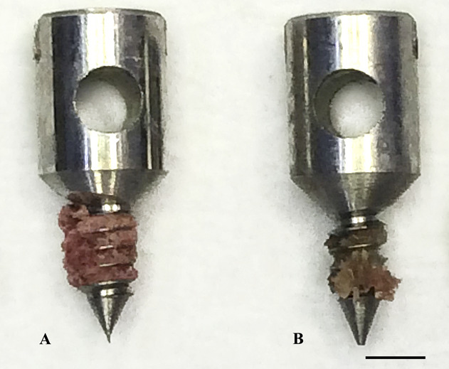 Fig. 5 A-B