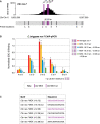 Figure 11—figure supplement 1.