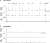 Figure 4—figure supplement 1.