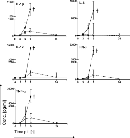 FIG. 2.