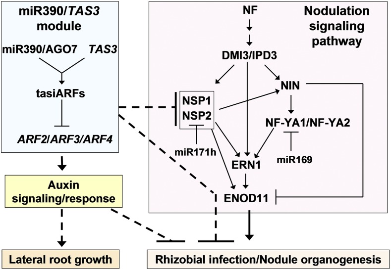 Figure 10.