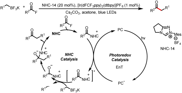 Scheme 37